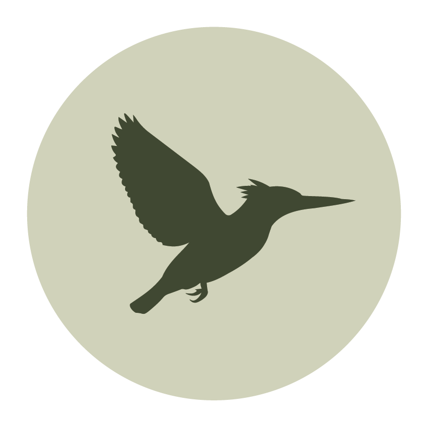 Water First Fishing Kingfisher Fly Rod Logo